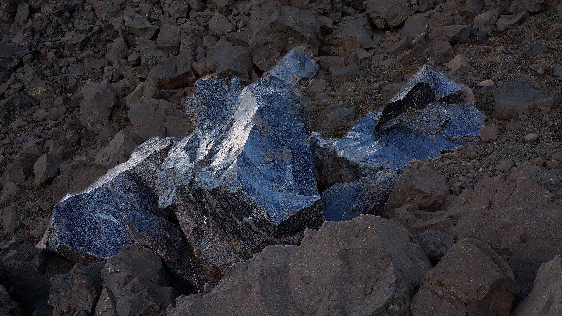 Pera Müzesi Dostluk Programı Üyelerine Özel Sergi Turu <br> Åsa Jungnelius