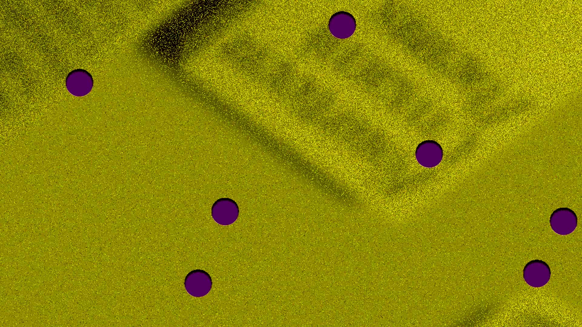 Şiir Okuması: Fourteen Umami Poems