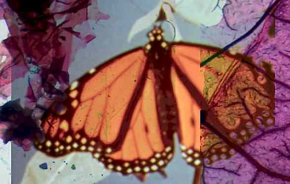 2021 yılı film programları