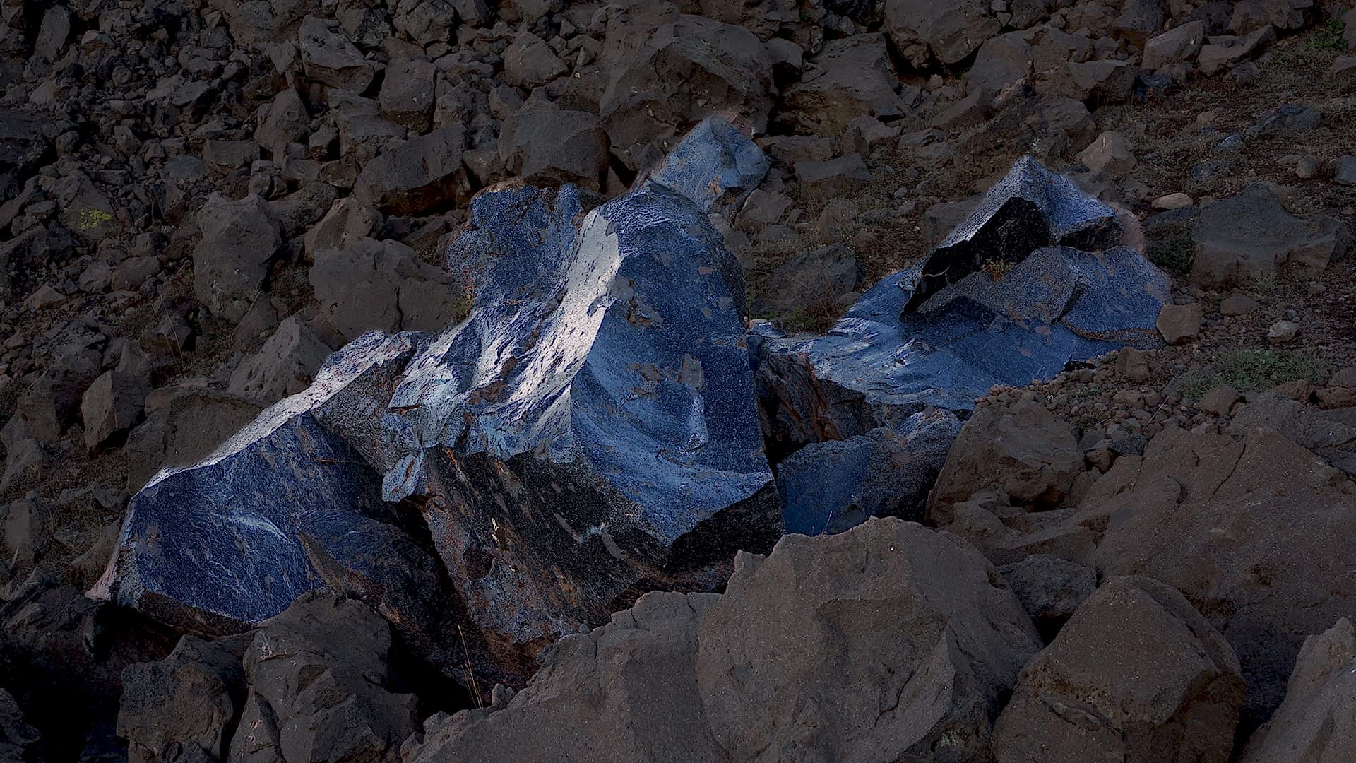  Åsa Jungnelius görsel 1