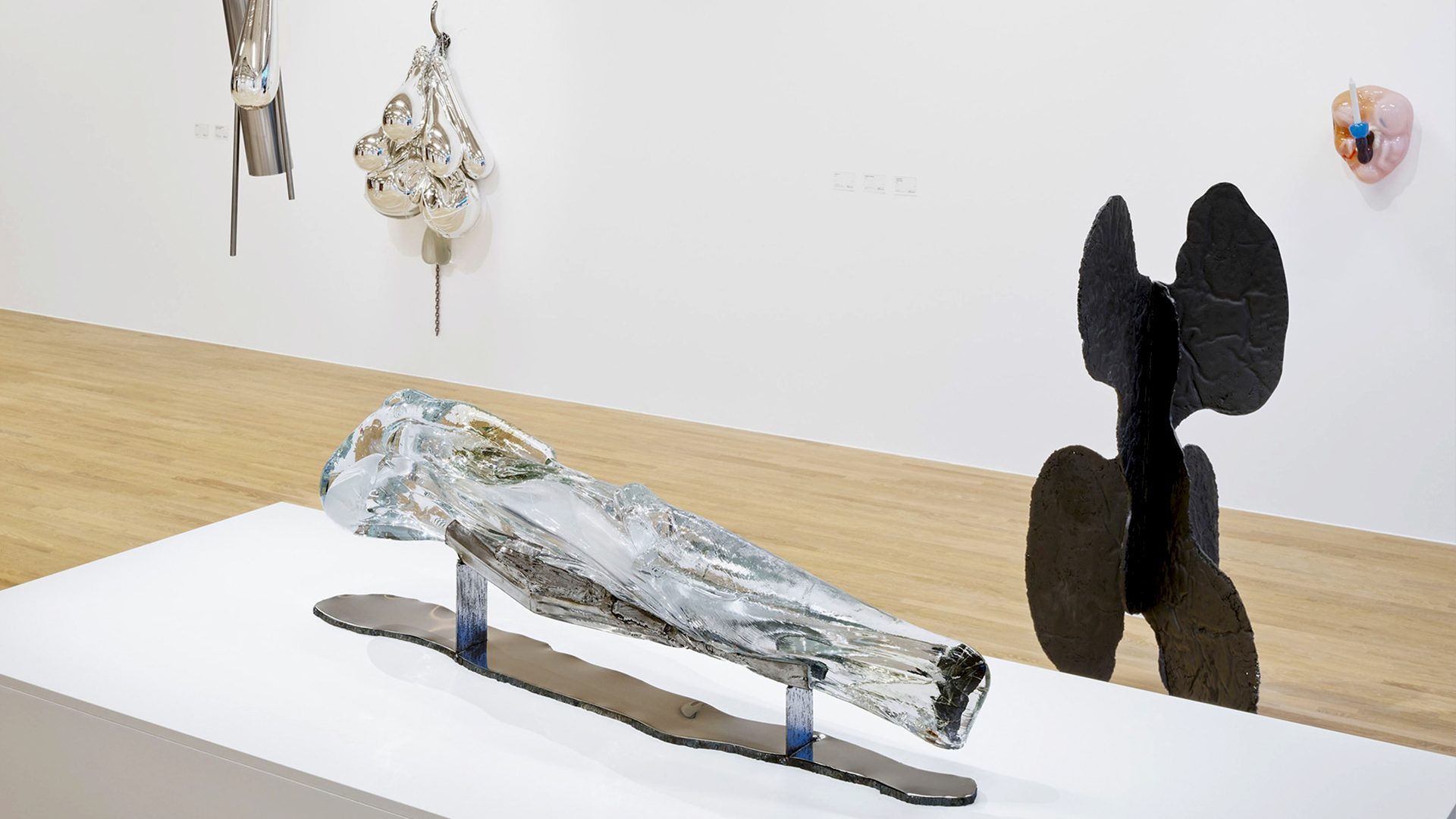  Åsa Jungnelius görsel 2