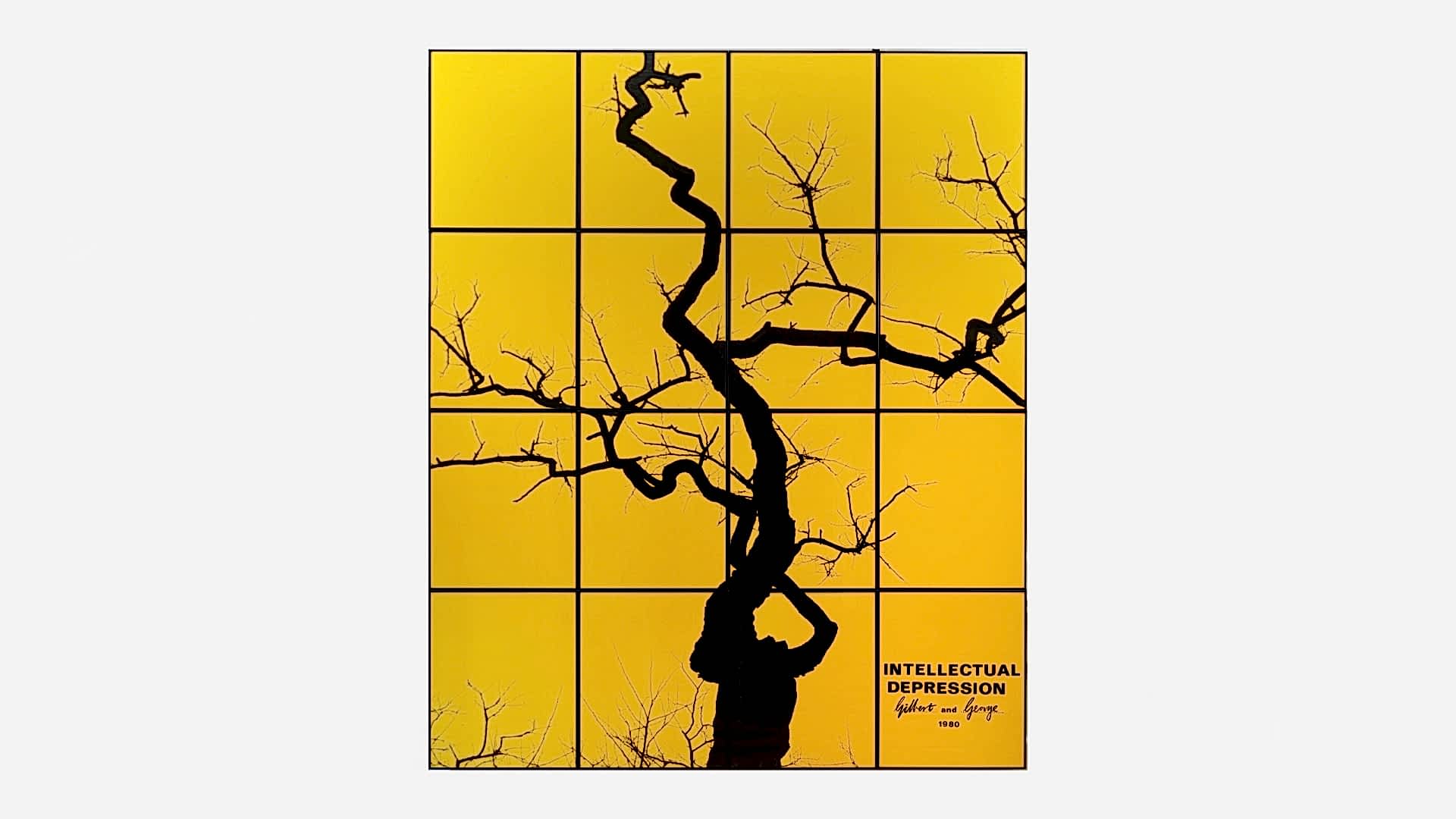 Ortak Duygular görsel 2