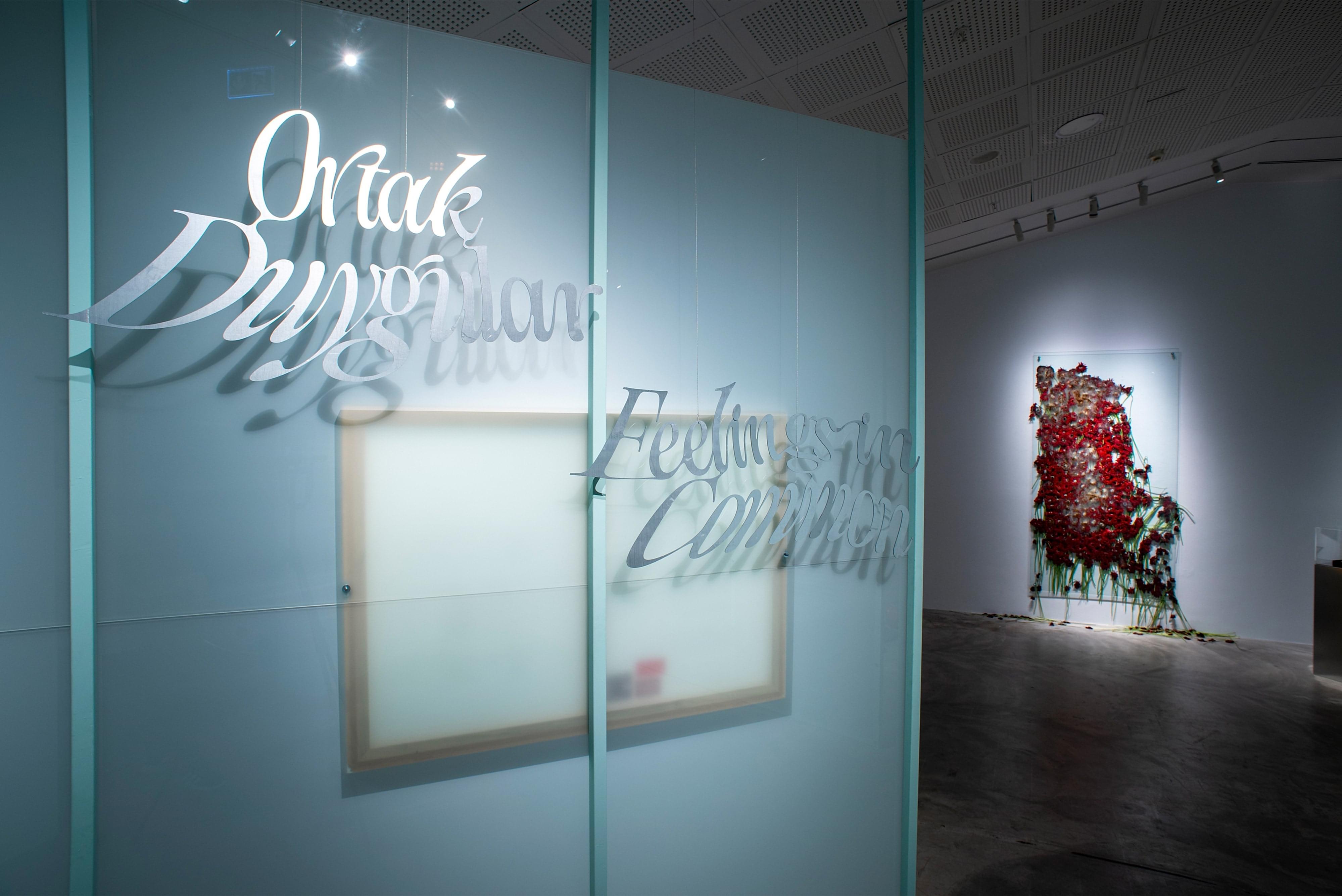 Ortak Duygular galeri 1