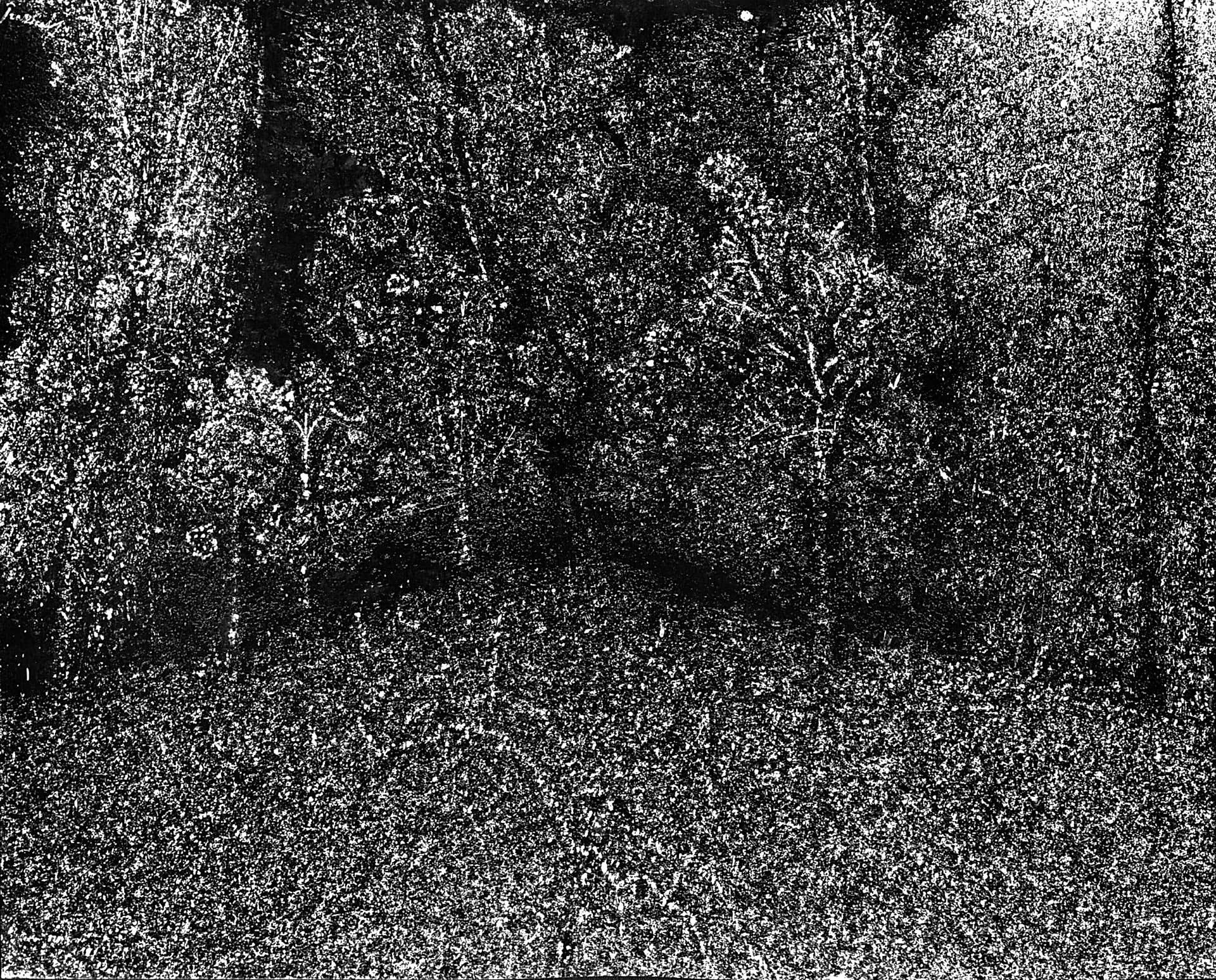 Gece Yarısı Korku Hikâyeleri: Ay Havuzu <br>  Işın Beril Tetik