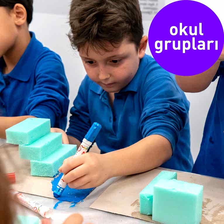 Okul Grupları